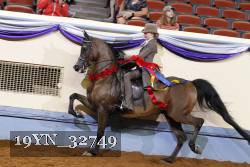 19YN_32749 thumbnail