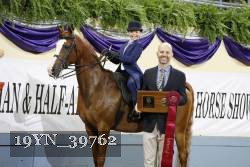 19YN_39762 thumbnail