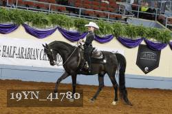 19YN_41780 thumbnail