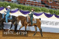 19YN_41792 thumbnail