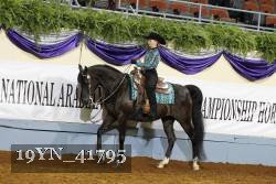 19YN_41795 thumbnail