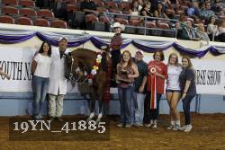 19YN_41885 thumbnail