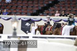 19YN_41893 thumbnail