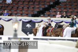 19YN_41894 thumbnail