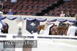 19YN_41895 thumbnail