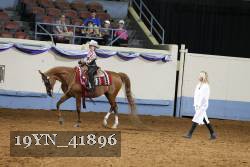 19YN_41896 thumbnail