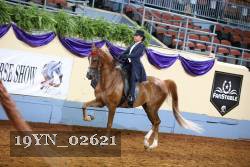 19YN_02621 thumbnail