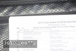 19YN_00772 thumbnail
