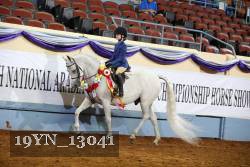 19YN_13041 thumbnail