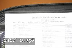 19YN_18856 thumbnail