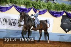 19YN_18882 thumbnail