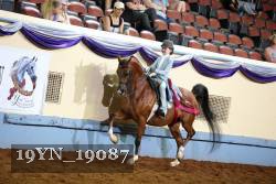 19YN_19087 thumbnail