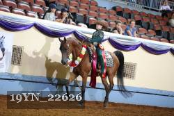 19YN_22626 thumbnail