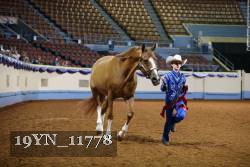 19YN_11778 thumbnail