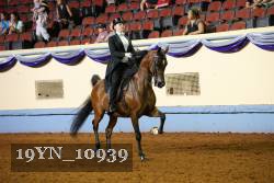 19YN_10939 thumbnail