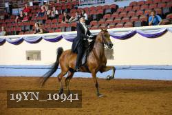 19YN_10941 thumbnail