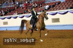 19YN_10942 thumbnail