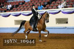 19YN_10944 thumbnail