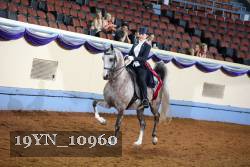 19YN_10960 thumbnail