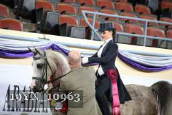 19YN_10963 thumbnail