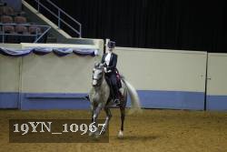 19YN_10967 thumbnail