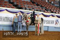 19YN_10973 thumbnail