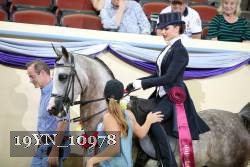 19YN_10978 thumbnail