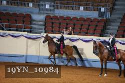 19YN_10984 thumbnail