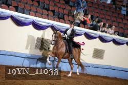 19YN_11033 thumbnail