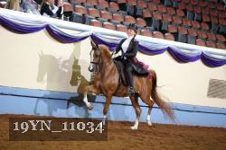 19YN_11034 thumbnail
