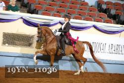 19YN_11036 thumbnail