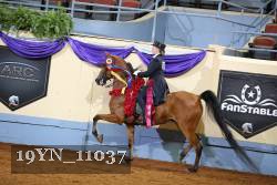 19YN_11037 thumbnail
