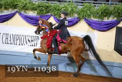19YN_11038 thumbnail