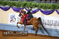 19YN_11039 thumbnail