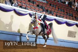 19YN_11044 thumbnail
