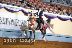19YN_11045 thumbnail