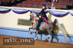 19YN_11047 thumbnail