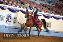 19YN_11050 thumbnail