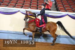 19YN_11055 thumbnail