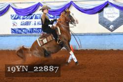 19YN_22887 thumbnail