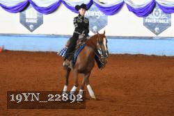 19YN_22892 thumbnail