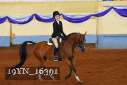 19YN_16391 thumbnail