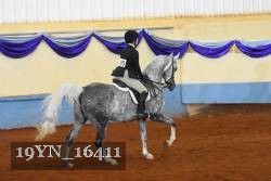 19YN_16411 thumbnail