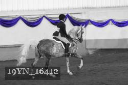 19YN_16412 thumbnail