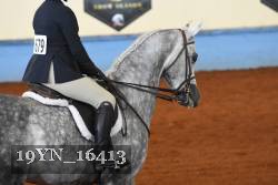 19YN_16413 thumbnail