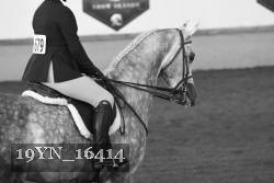 19YN_16414 thumbnail