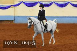 19YN_16415 thumbnail
