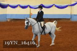 19YN_16416 thumbnail