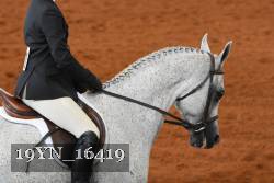 19YN_16419 thumbnail