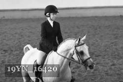 19YN_16420 thumbnail